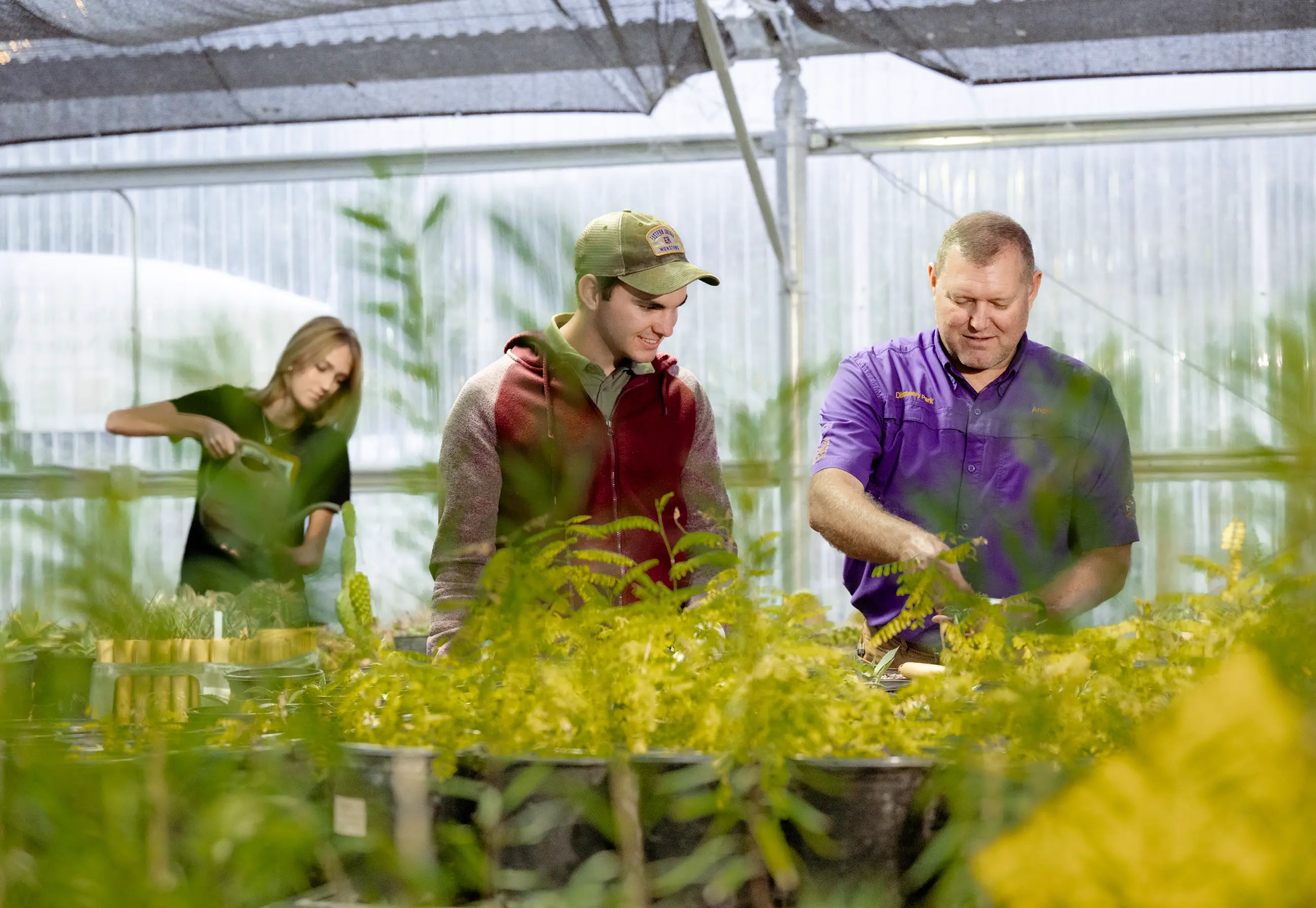 Eastern Arizona College Greenhouse