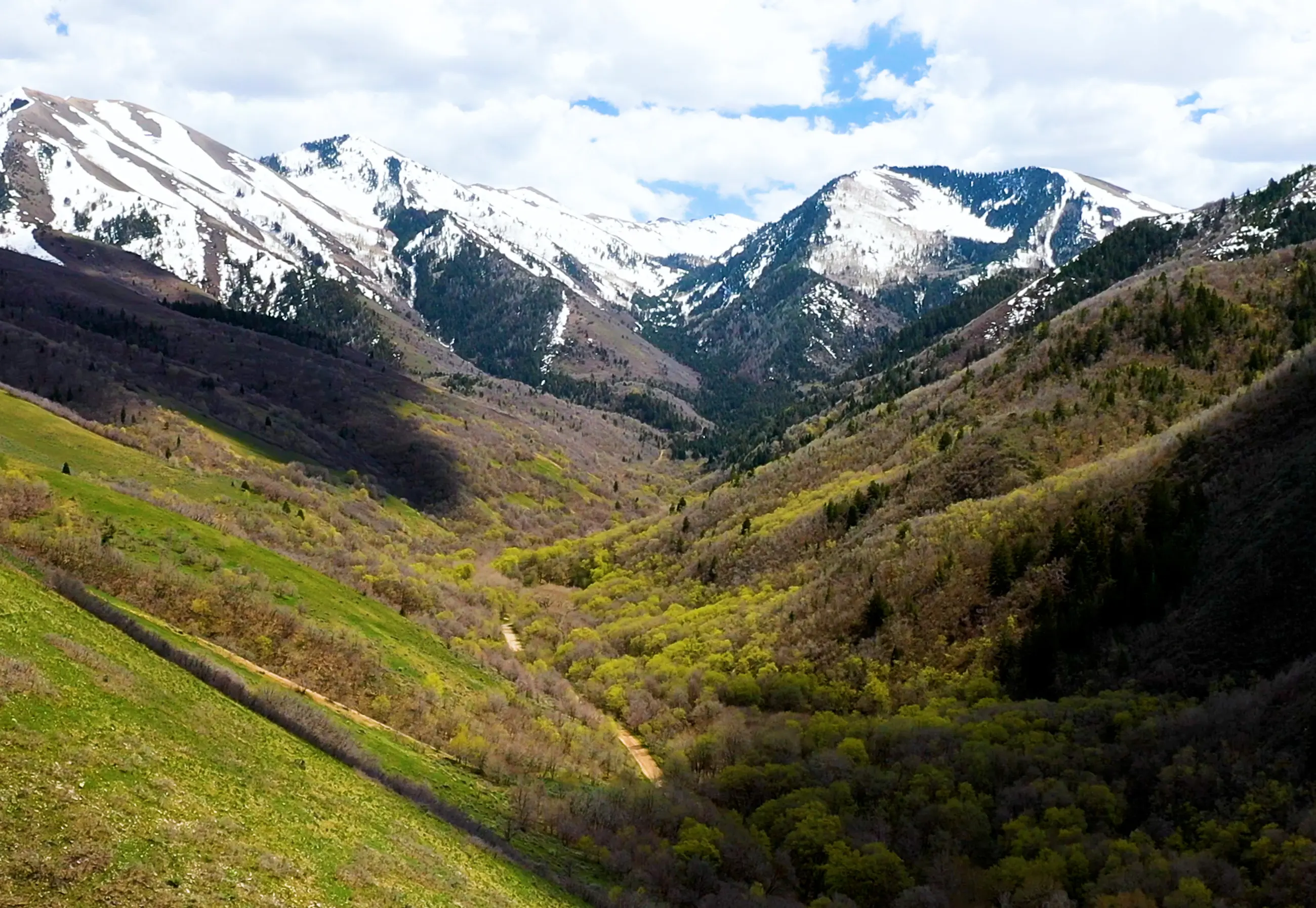 Explore Tooele County Screens