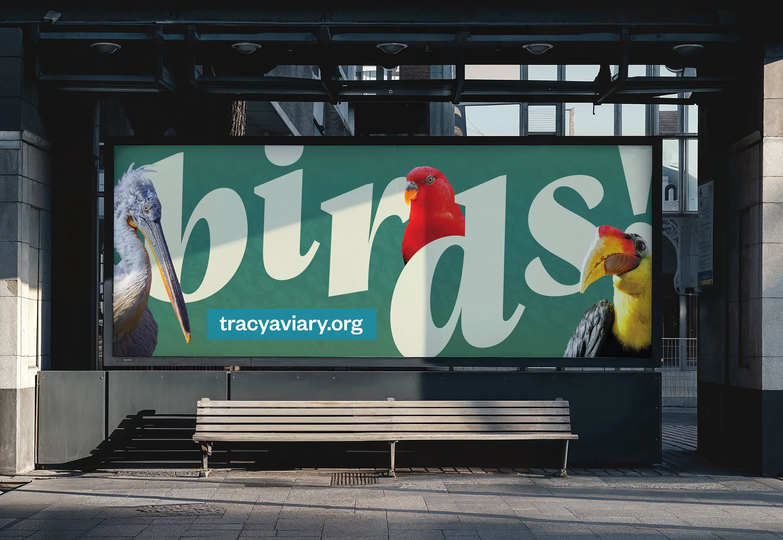 Tracy Aviary BIRDS!