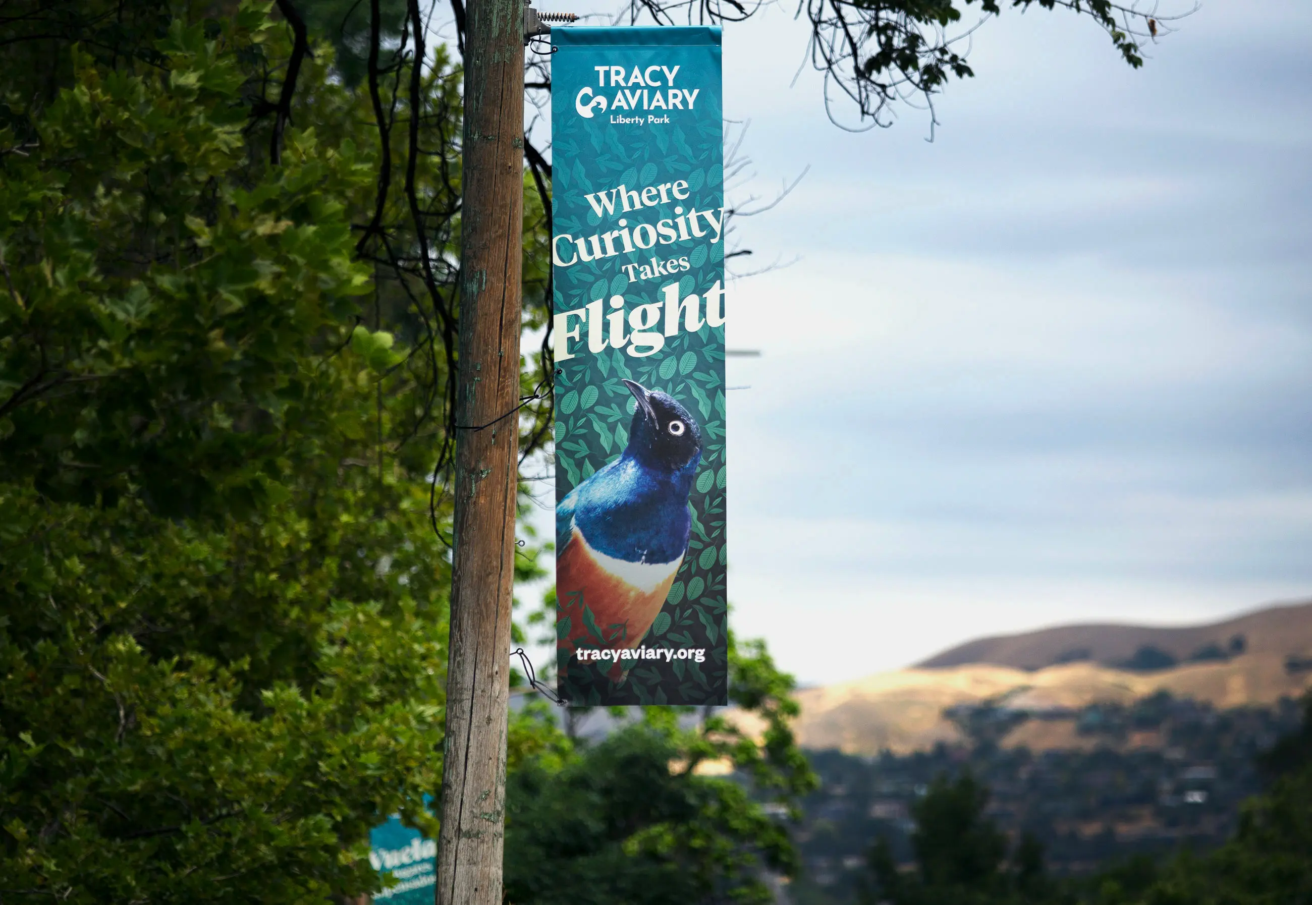 Tracy Aviary Banners 700e